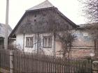 Katovna v pustm lese