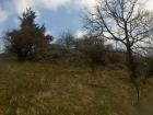 Loupe�n�k, kter� se stal legendou